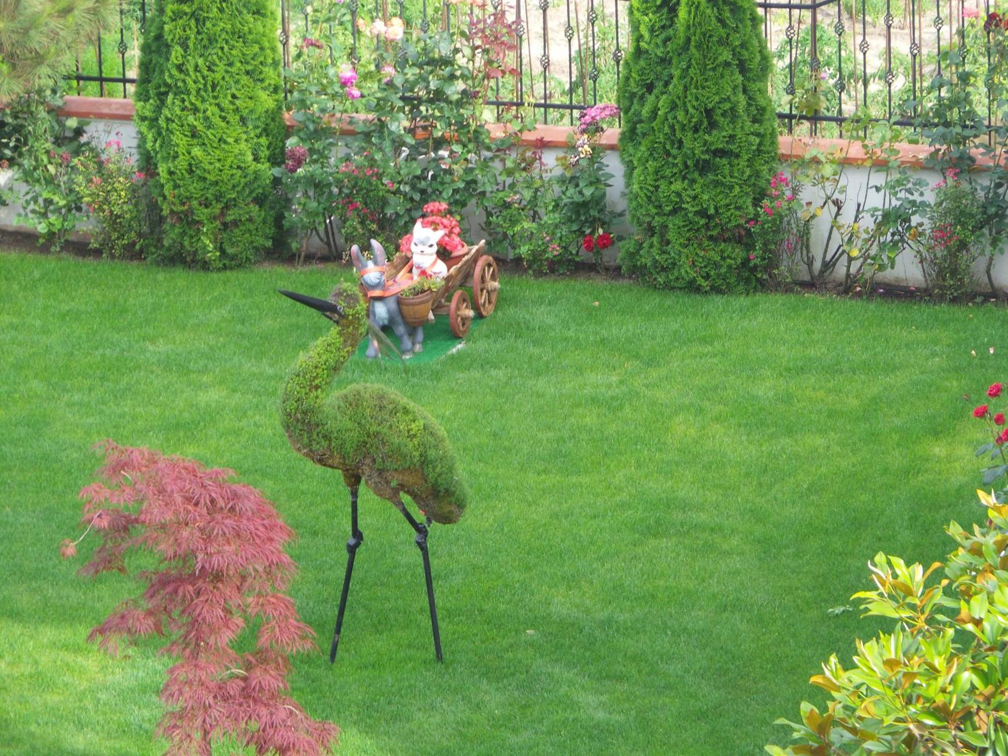 Hotel Paradise Aranyhomok Kültér fotó